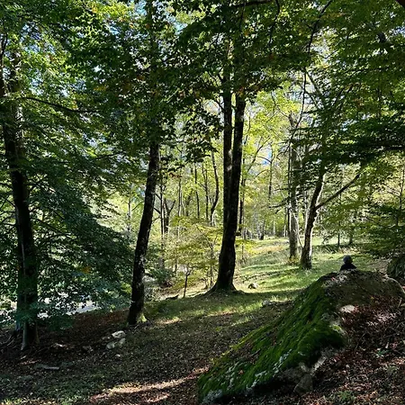 Casa vacanze Historic House Close To *