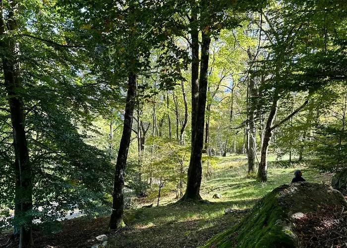 Дом отдыха Historic House Close To *